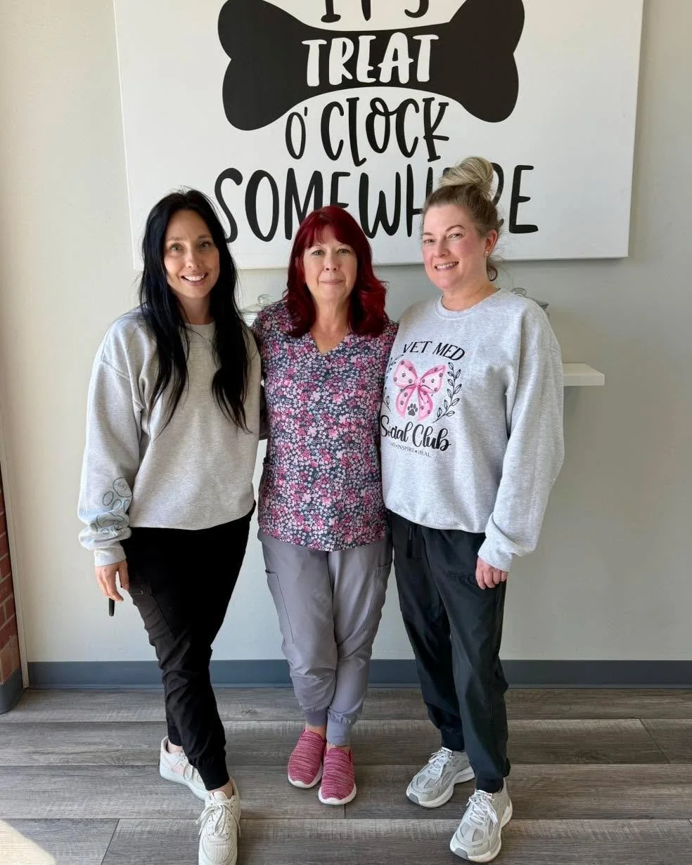 Happy Veterinary Receptionist Week! 🐾

We&rsquo;re celebrating the crew that keeps Little Woods moving. Phones ringing nonstop, a full schedule, questions coming from every direction&mdash;and somehow it all gets handled.

Lauren, Kelly, Amy, and Am