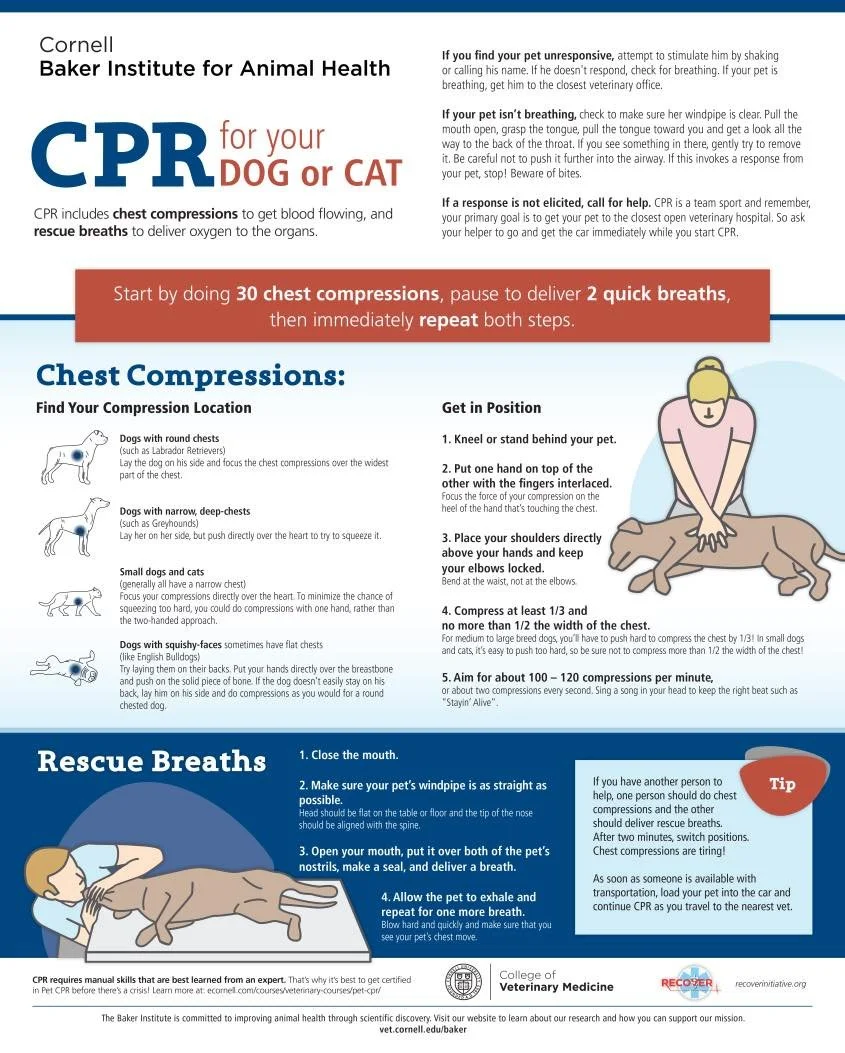 🚨 🐾 Pet CPR Awareness Day 🐾🚨

In an emergency, every second matters. If a pet stops breathing or their heart stops, brain damage can begin within just a few minutes without oxygen. Starting CPR right away can help keep blood and oxygen moving unt
