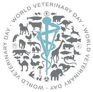 World Veterinary Day 🐾

We might be a little biased&hellip; but we&rsquo;ve got some of the best people you could ask for taking care of your pets.

Veterinary medicine isn&rsquo;t just appointments and vaccines &mdash; it&rsquo;s diagnostics, surge