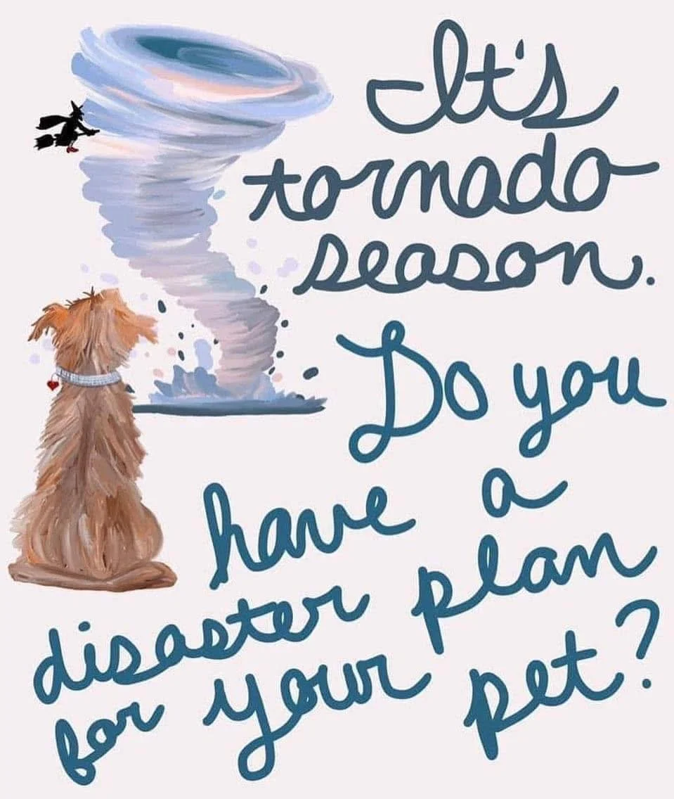 ⚡️Severe Weather is Near! Here are some last minute safety tips. 🌪️

🚨 Check ID &amp; Microchip &ndash; Ensure tags are up-to-date or write your phone number on their collar.

🚨 Bring Pets Indoors &ndash; Outdoor pets are at risk&mdash;get them in