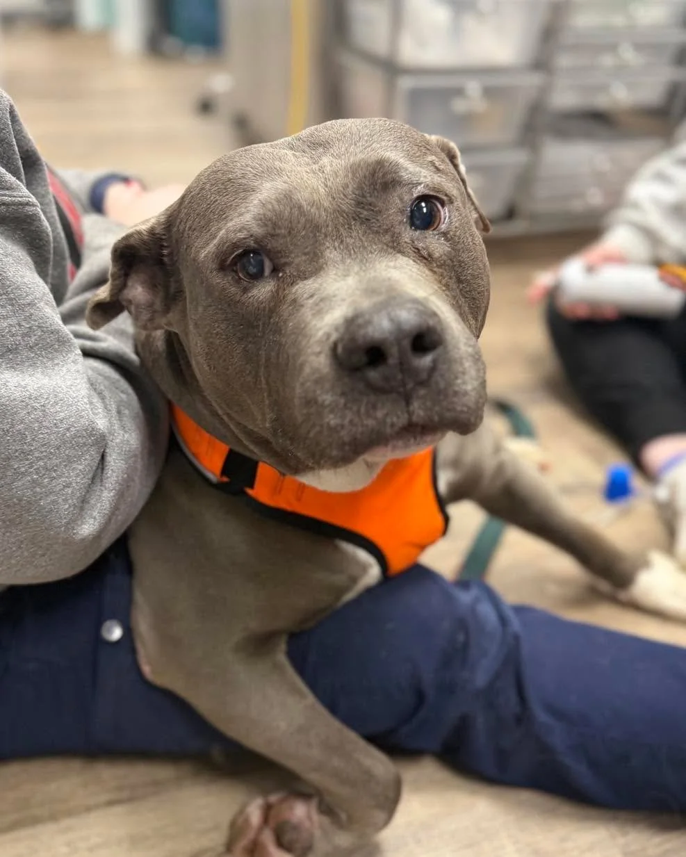 Pumpkin&mdash;certified staff favorite 🧡