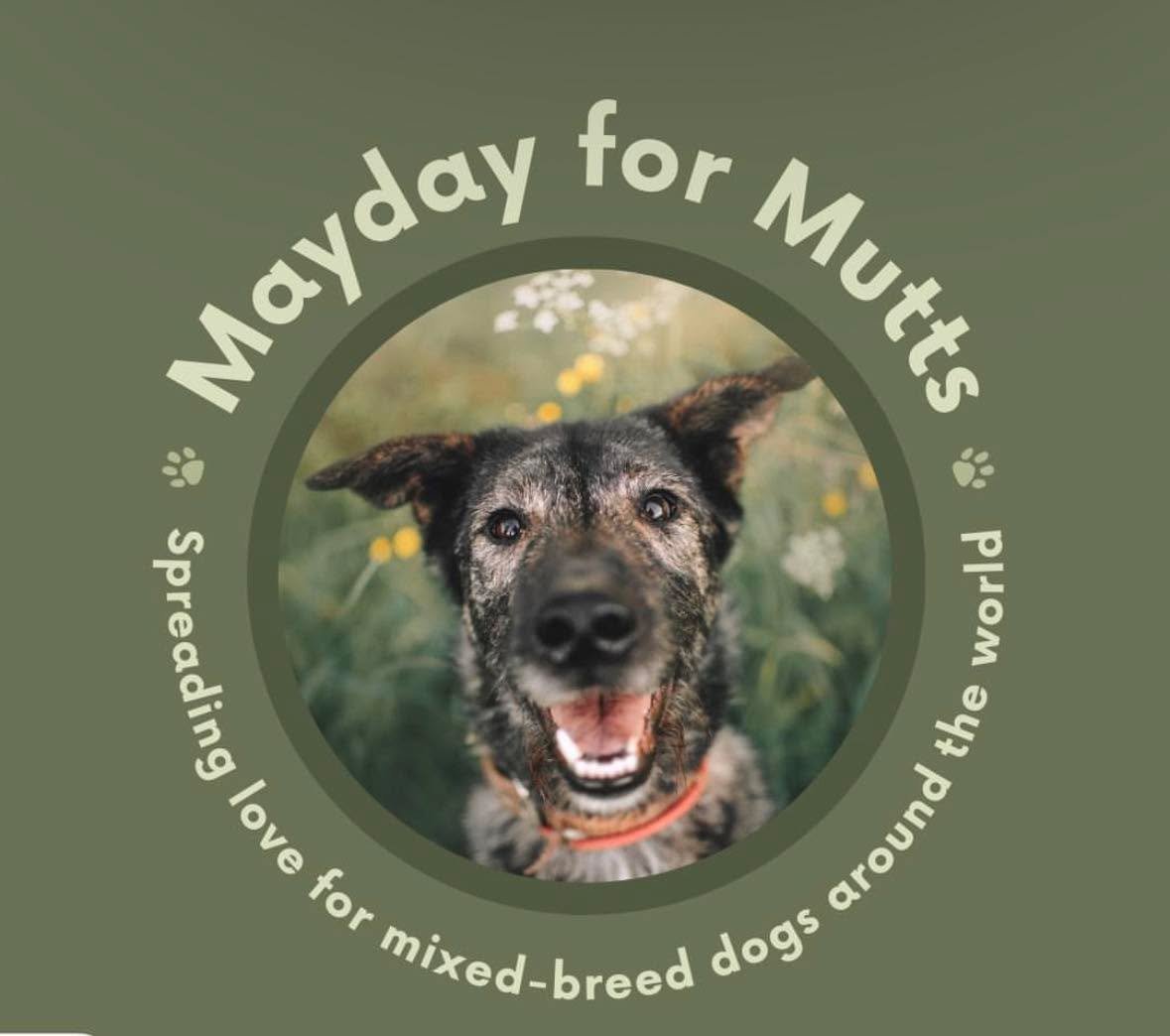 Mayday for Mutts 🐾

No breed label, no fancy title&mdash;just a really good dog.  Mixed-breed dogs make up a big part of the pets we see every day, and they come with some great perks. More genetic variety can mean fewer inherited issues, and every 