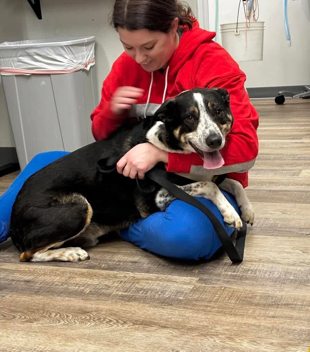 Came for the appointment&hellip; stayed for the lap time 🐾💙