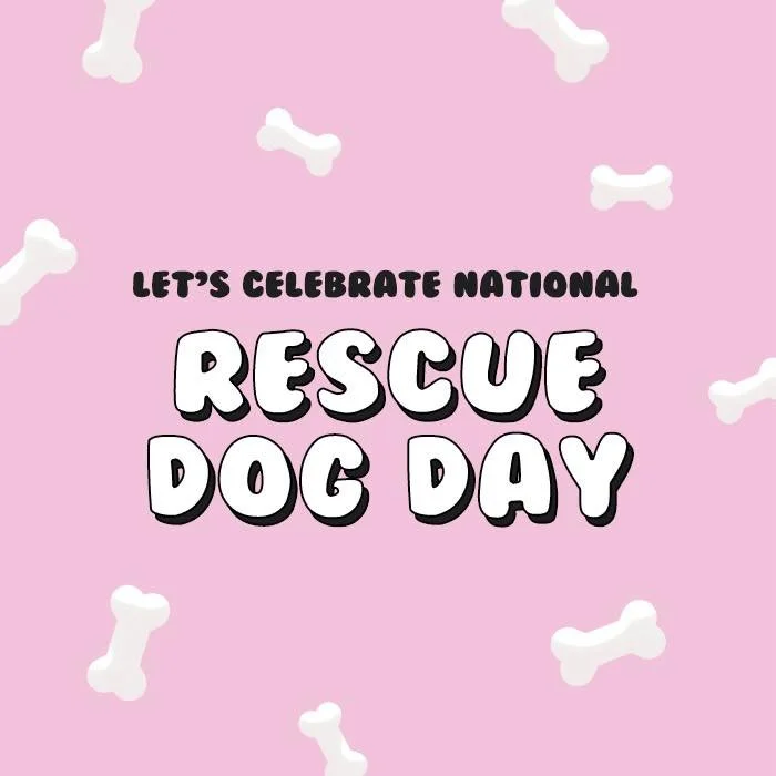 🐾 National Rescue Dog Day 🐾

There is just something special about a rescue dog. Maybe it&rsquo;s the way they learn to trust you.  Maybe it&rsquo;s the way they act thankful for the little things.  Or maybe it&rsquo;s because once they pick their 