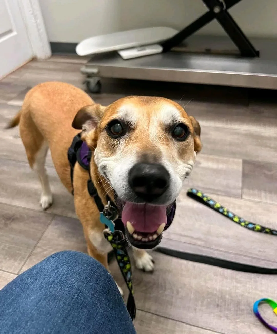 This patient rated us 5 stars and asked when they can come back ⭐️ ❤️