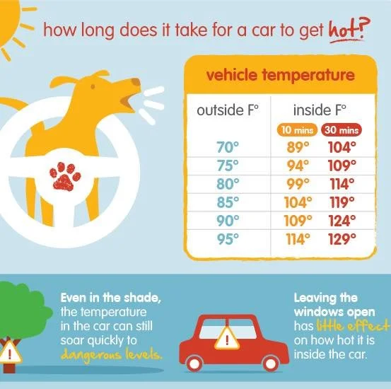 A parked car can become dangerously hot for pets much faster than people expect &mdash; and cracked windows do not cool the vehicle enough to make it safe. 🚗☀️🐾

Many people are surprised to learn that the temperature inside a vehicle can rise dram