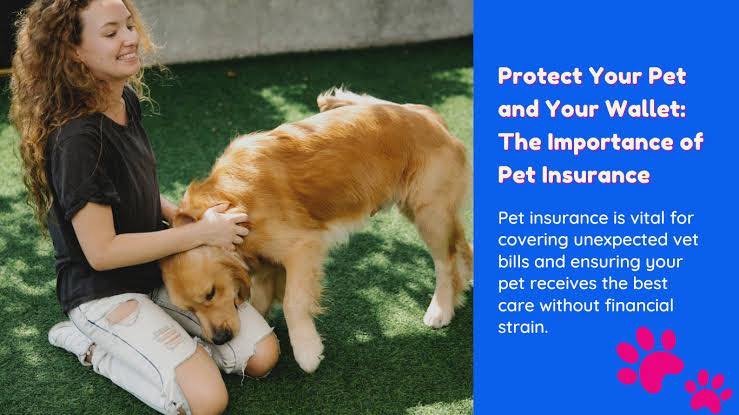 Pet owner tip that people don&rsquo;t talk about enough: emergency vet visits can happen to anyone. 🐾

A blocked cat, broken leg, foreign body surgery, snake bite, parvo puppy, pancreatitis after a little too much holiday people food, heat stroke, o