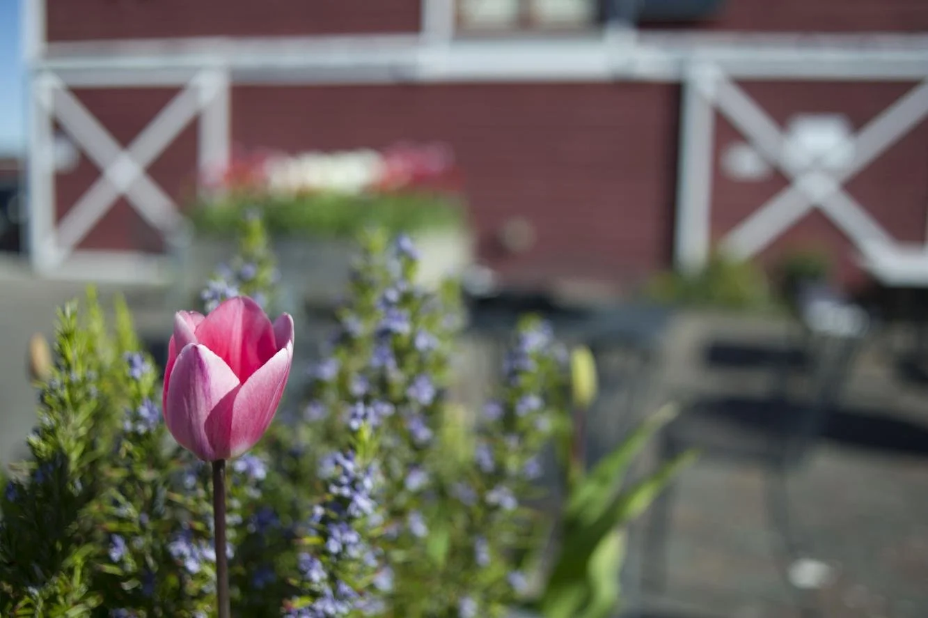 Skagit County residents voice concerns over proposed agritourism code changes