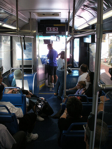 Bus Operators
