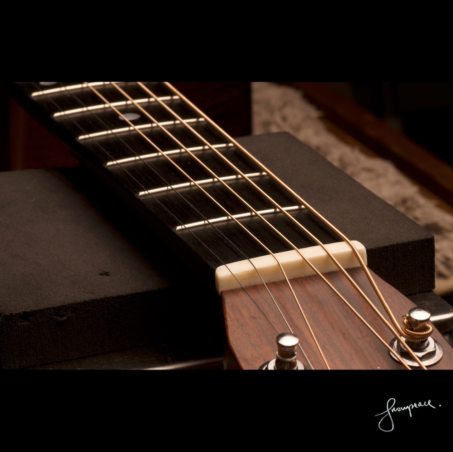 Guitar Nut.png