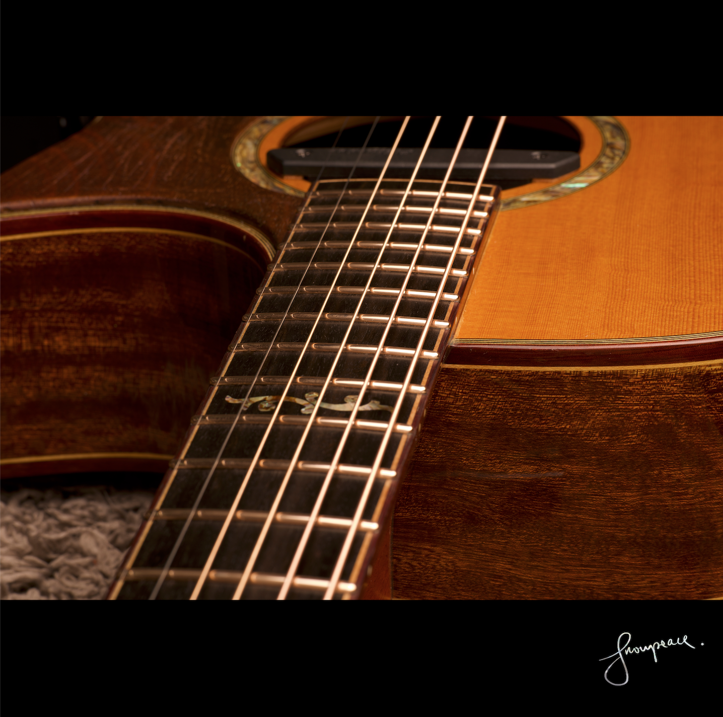 Acoustic Guitar Pickguard.png