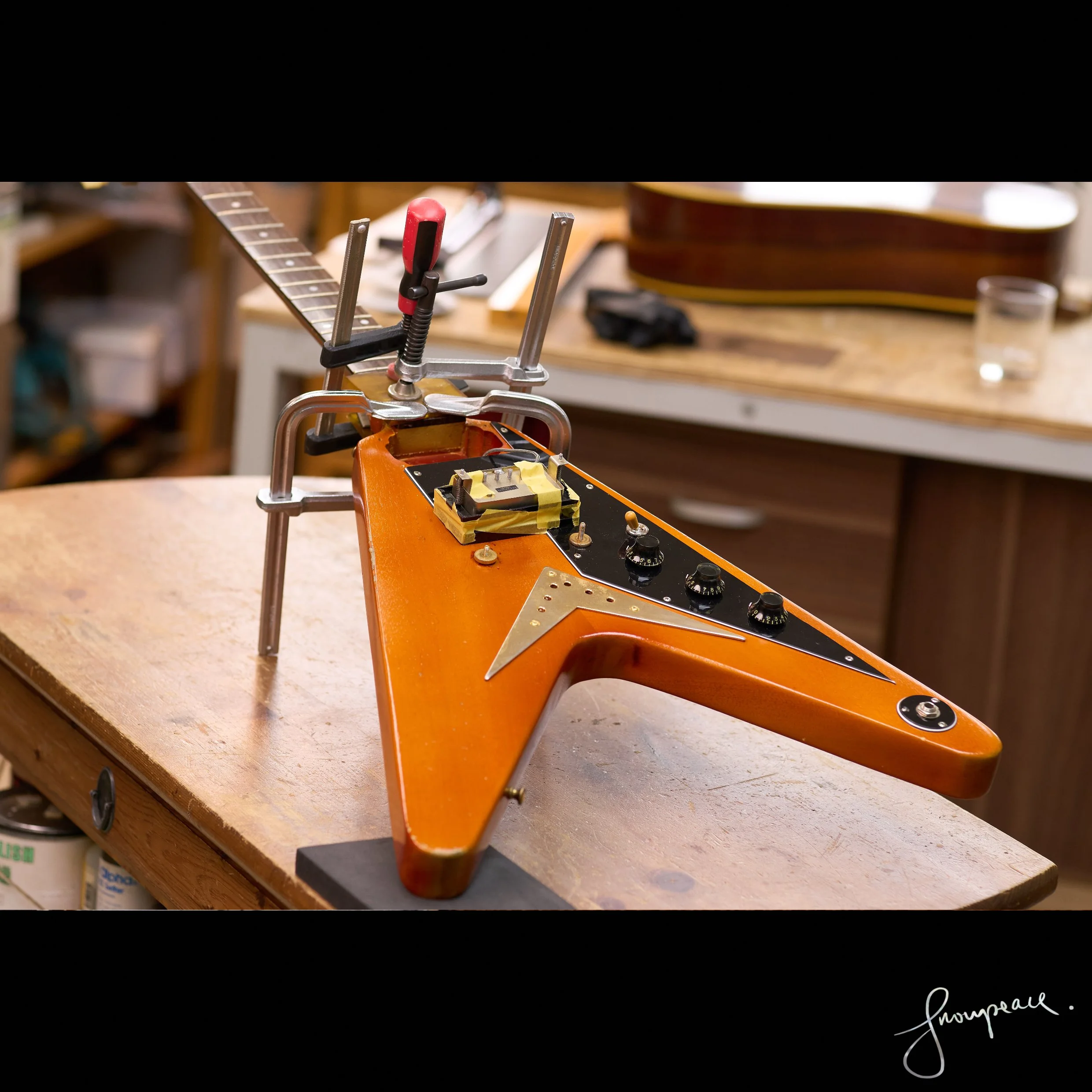 Custom-made-new-nut-flying-V-nylon.jpg