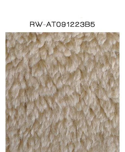 RW-AT091223B5.jpg