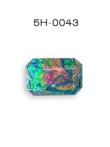 5H-0043.jpg