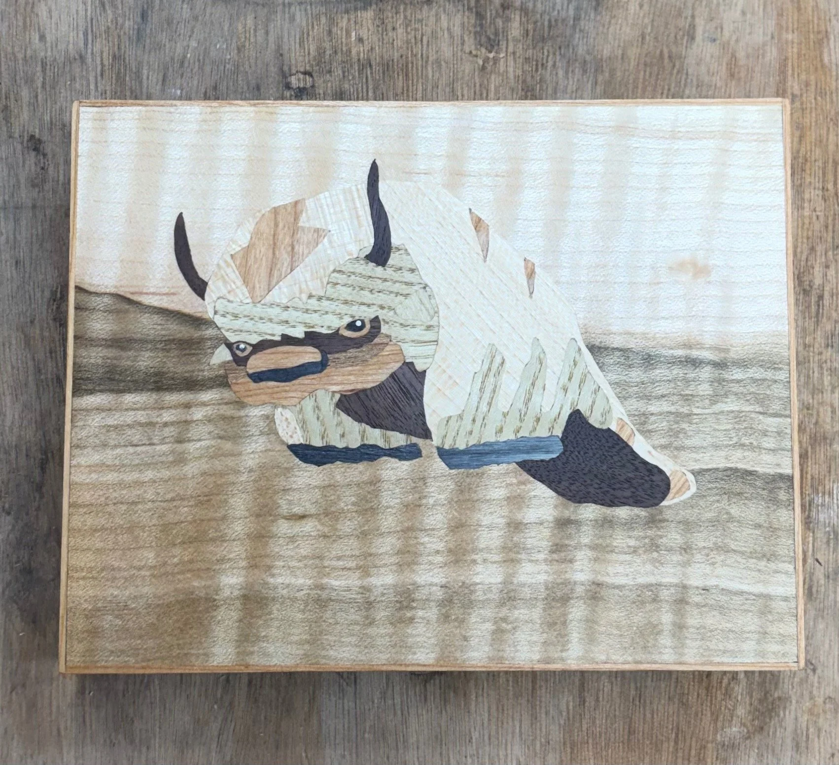 appa.jpg