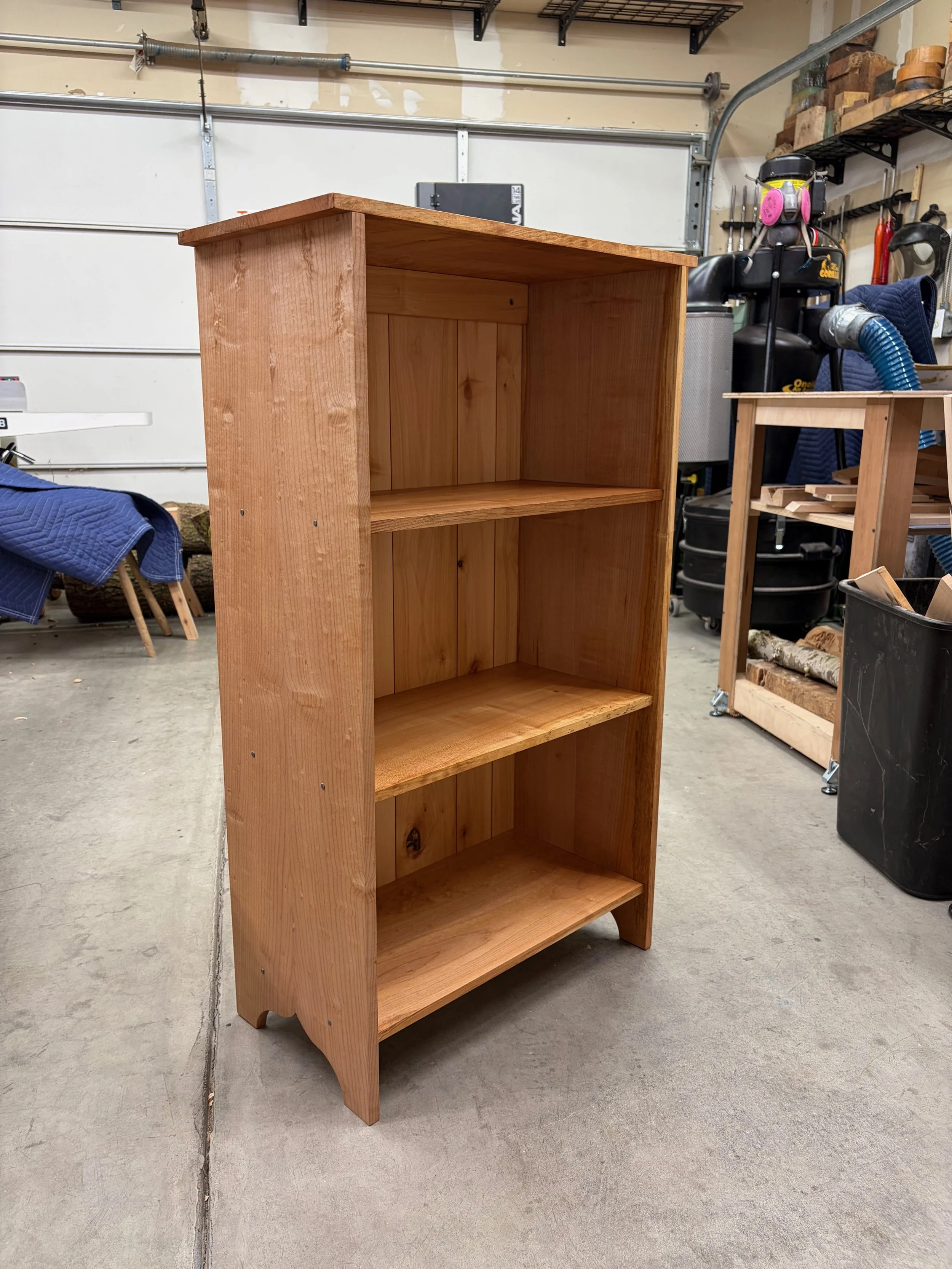 lily's craft bookcase