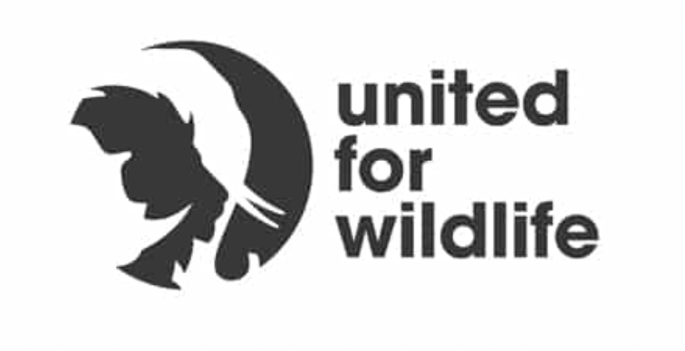 Screenshot 2022-01-12 at 3.27.10 PM.png