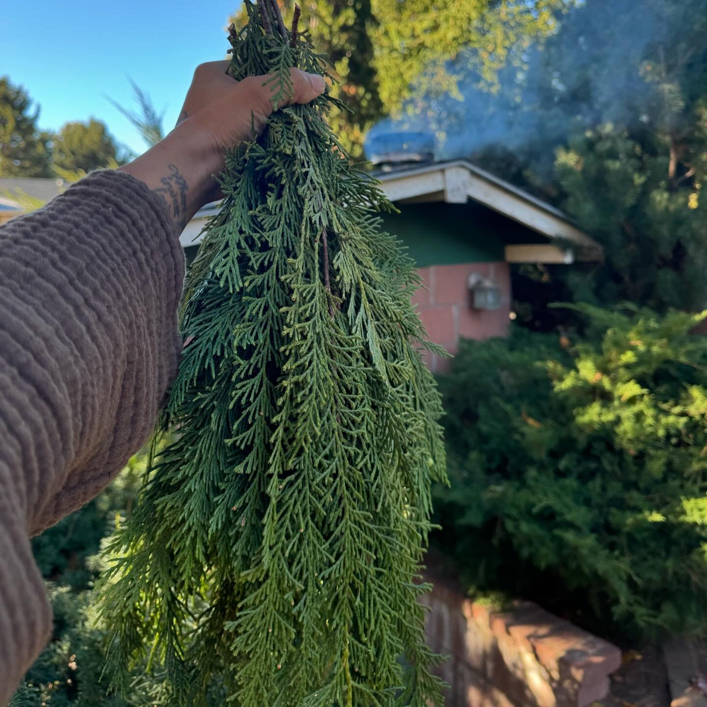 The Honorable Harvest

Know the ways of the ones who take care of you, so that you may take care of them.
Introduce yourself. Be accountable as the one who comes asking for life.
Ask permission before taking. Abide by the answer.
Never take the first