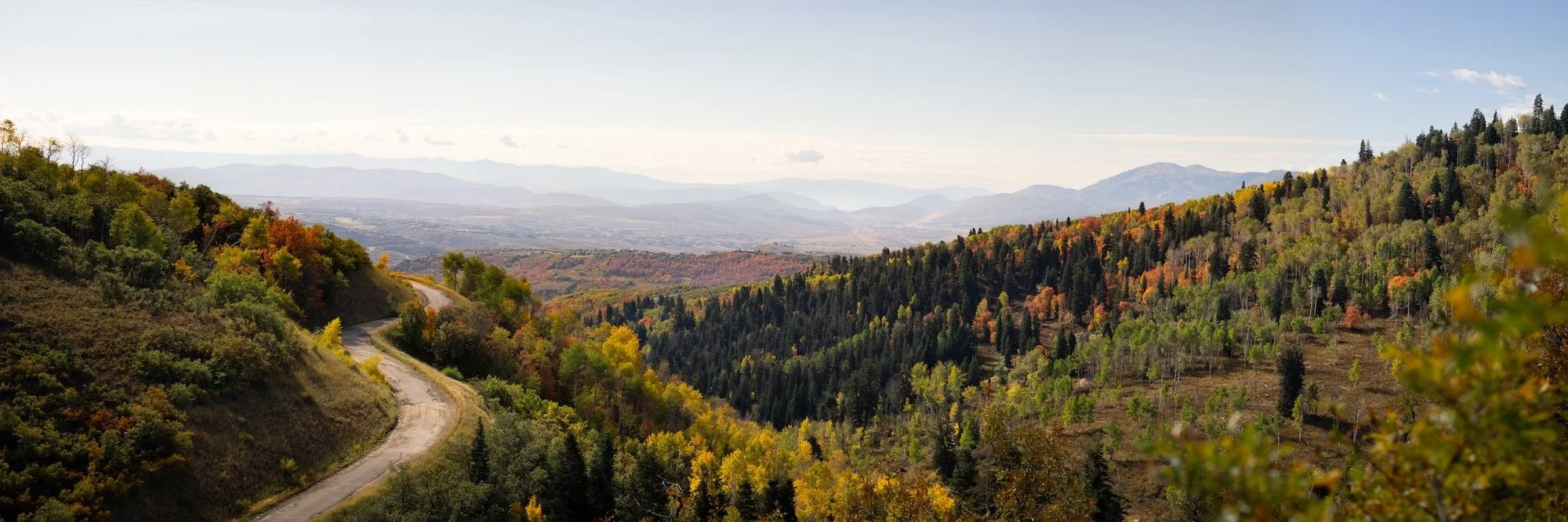 utah-fall-colors-road-panorama.jpg