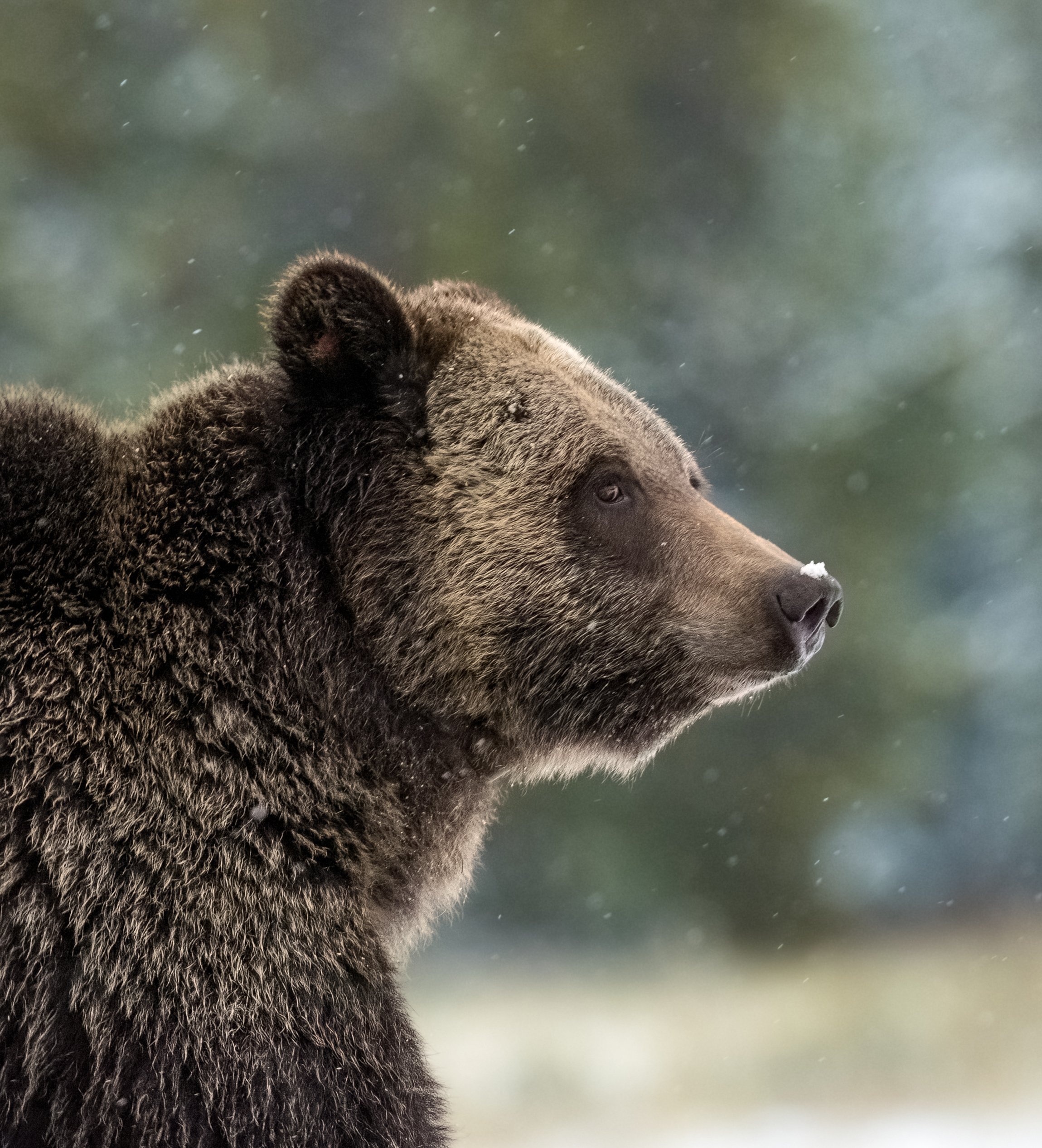 1Y4A8962-2-DeNoiseAI-low-light.jpg