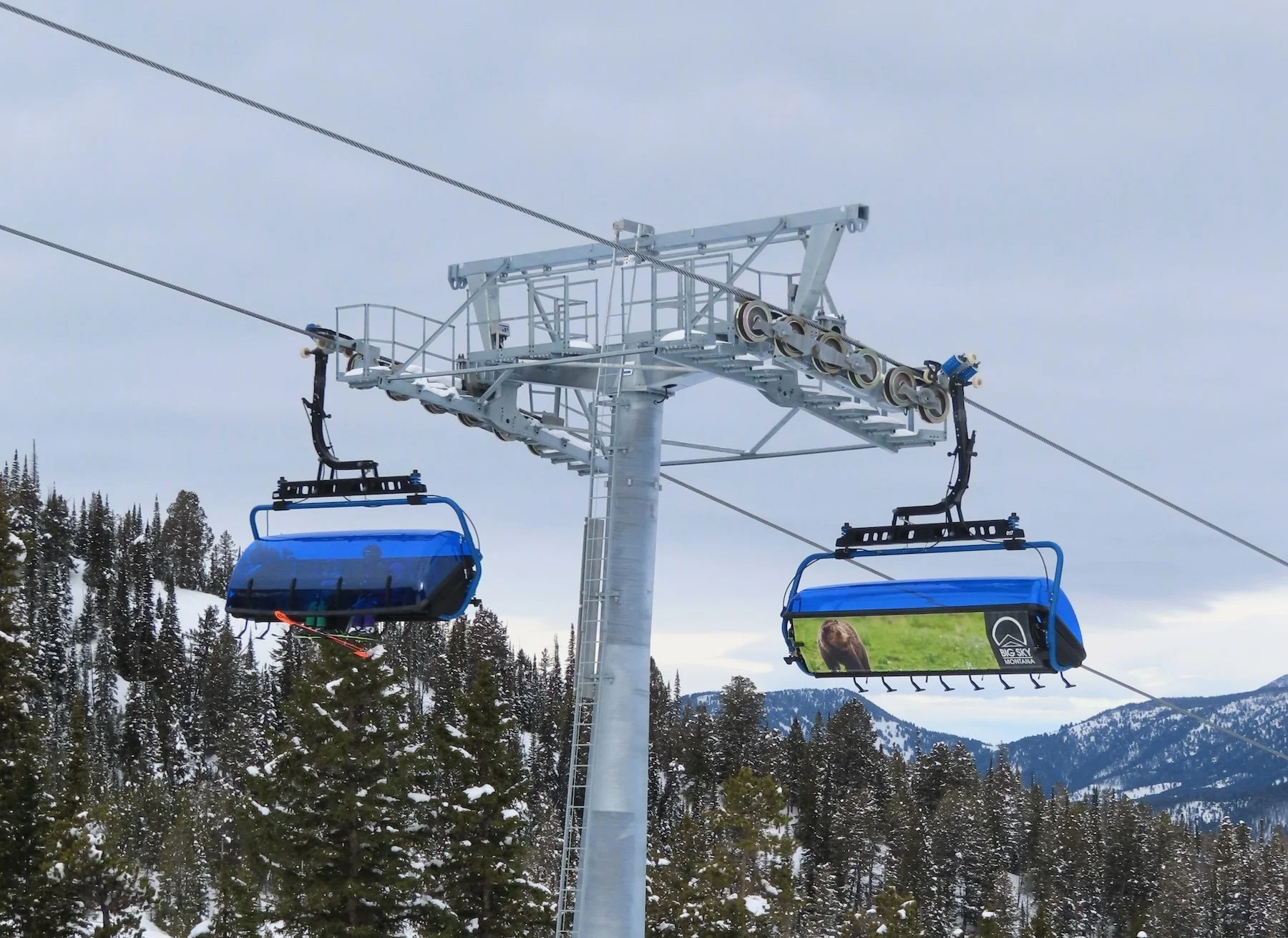 Madison 8 Chairlifts - Chrissy Shammas's Grizzly Bear Photo