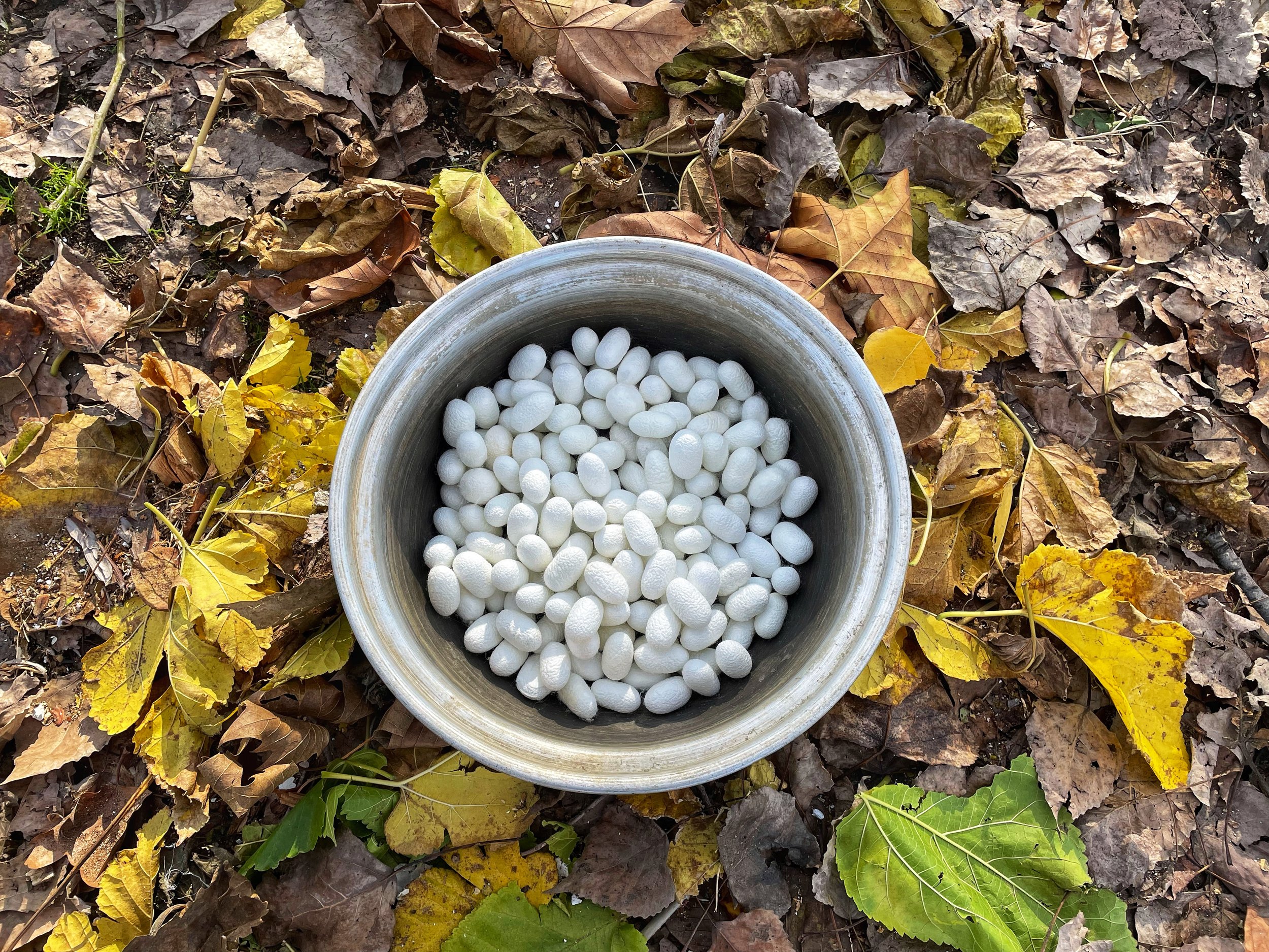 September 2023: Getting ready for the reeling season