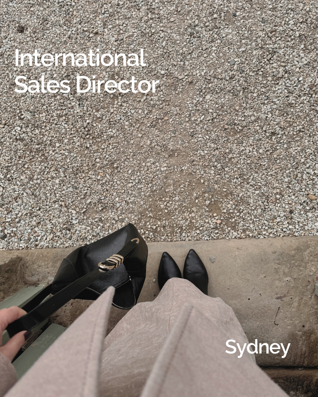 International Sales Director 