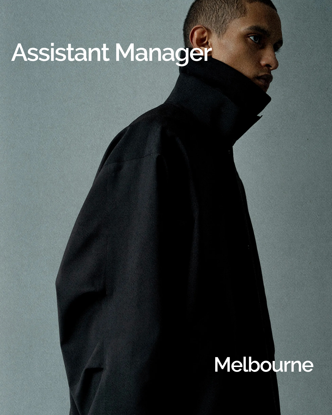 Assistant Manager 