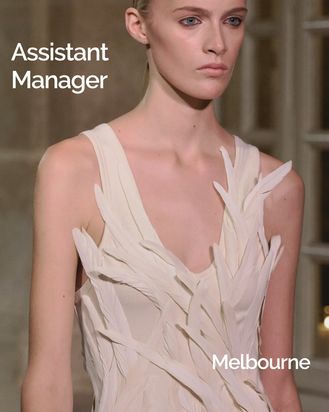 Assistant Manager 