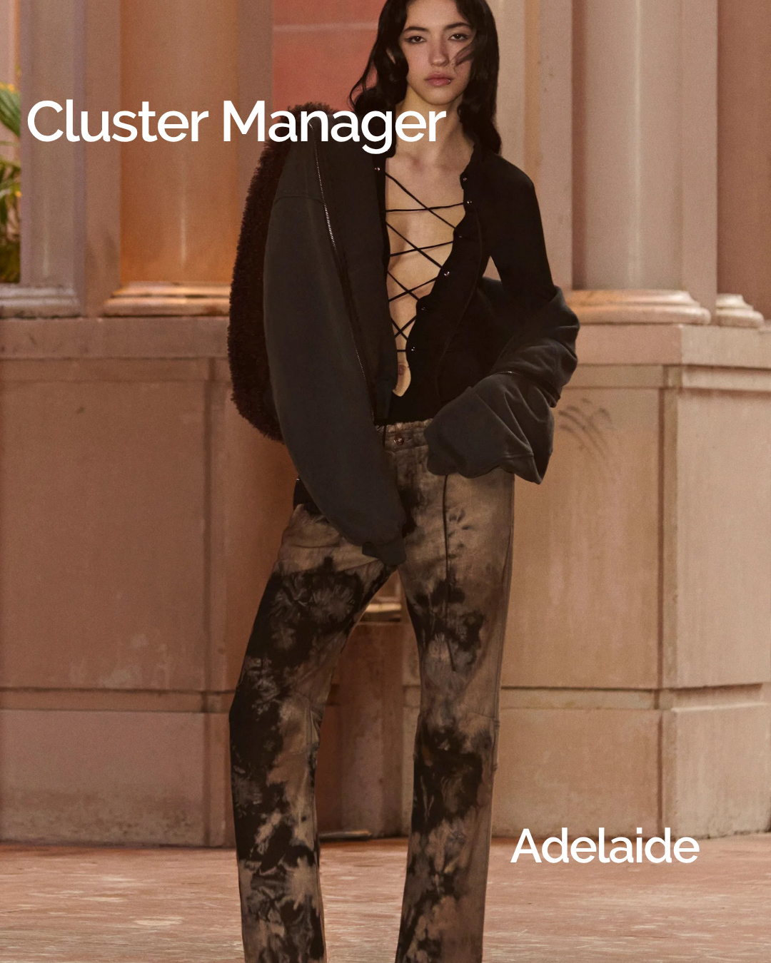 Cluster Manager 