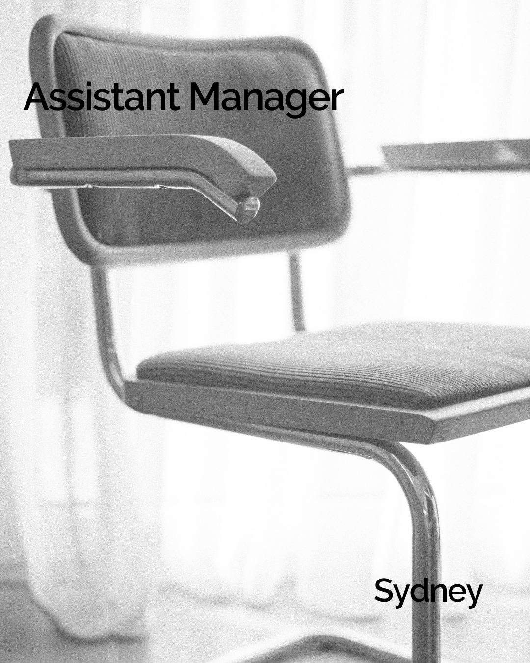 Assistant Manager 