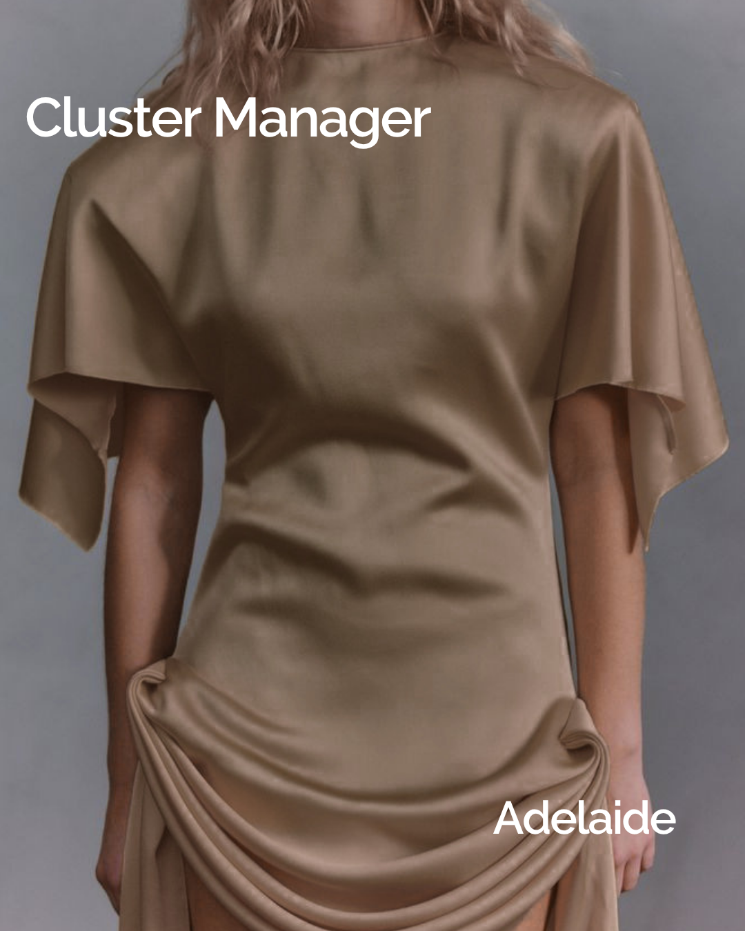 Cluster Manager 