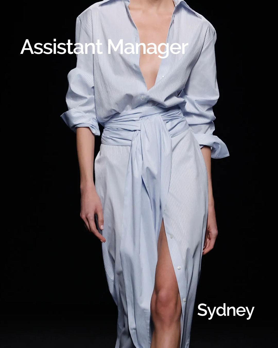 Assistant Manager 