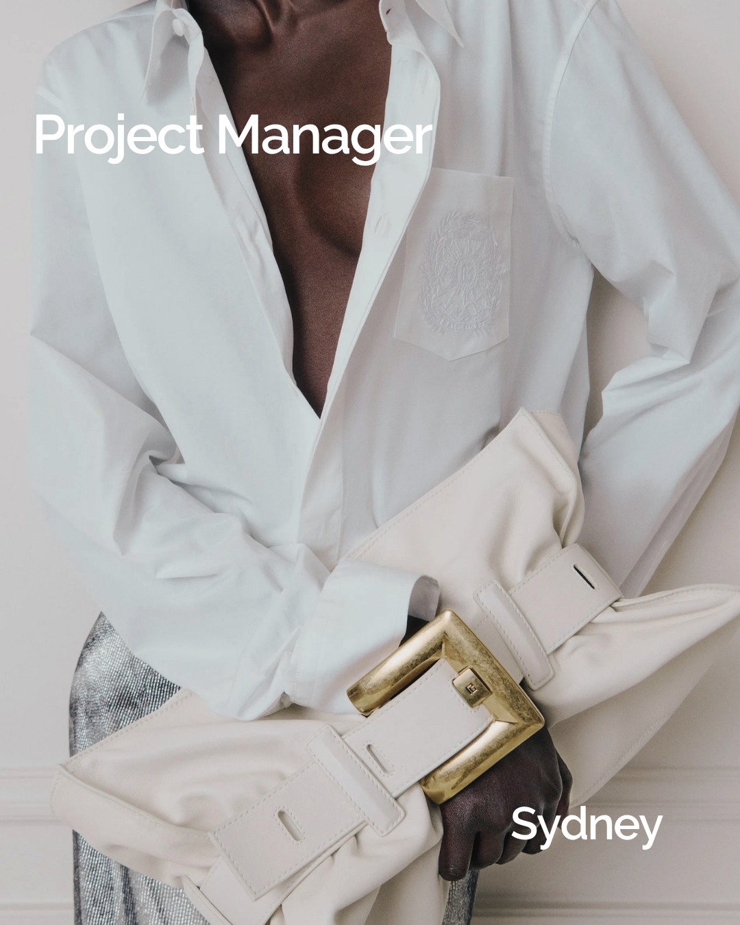 Project Manager 