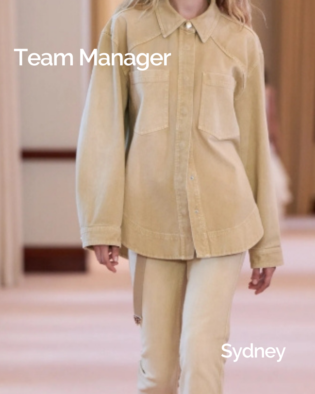 Team Manager 