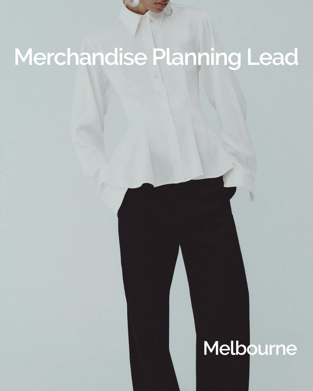Merchandise Planning Lead 