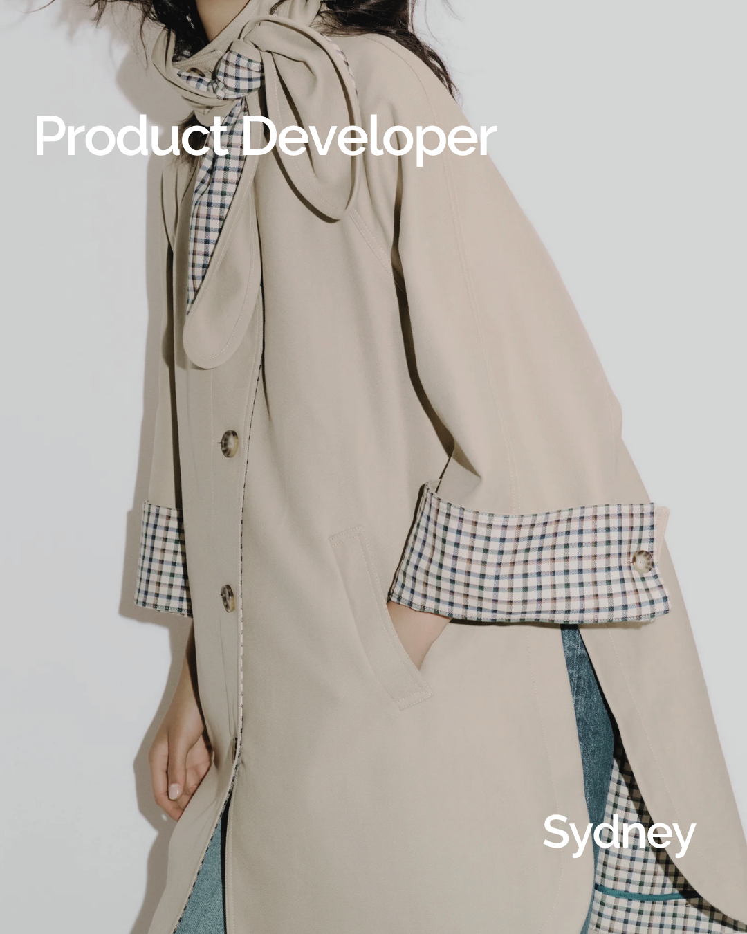 Product Developer