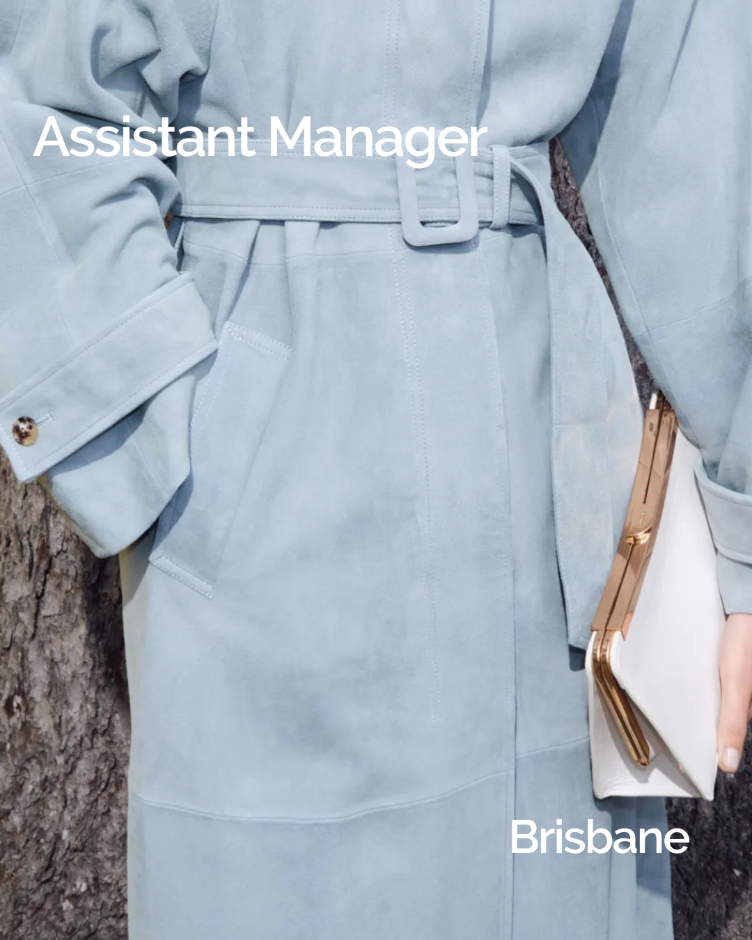 Assistant Manager 