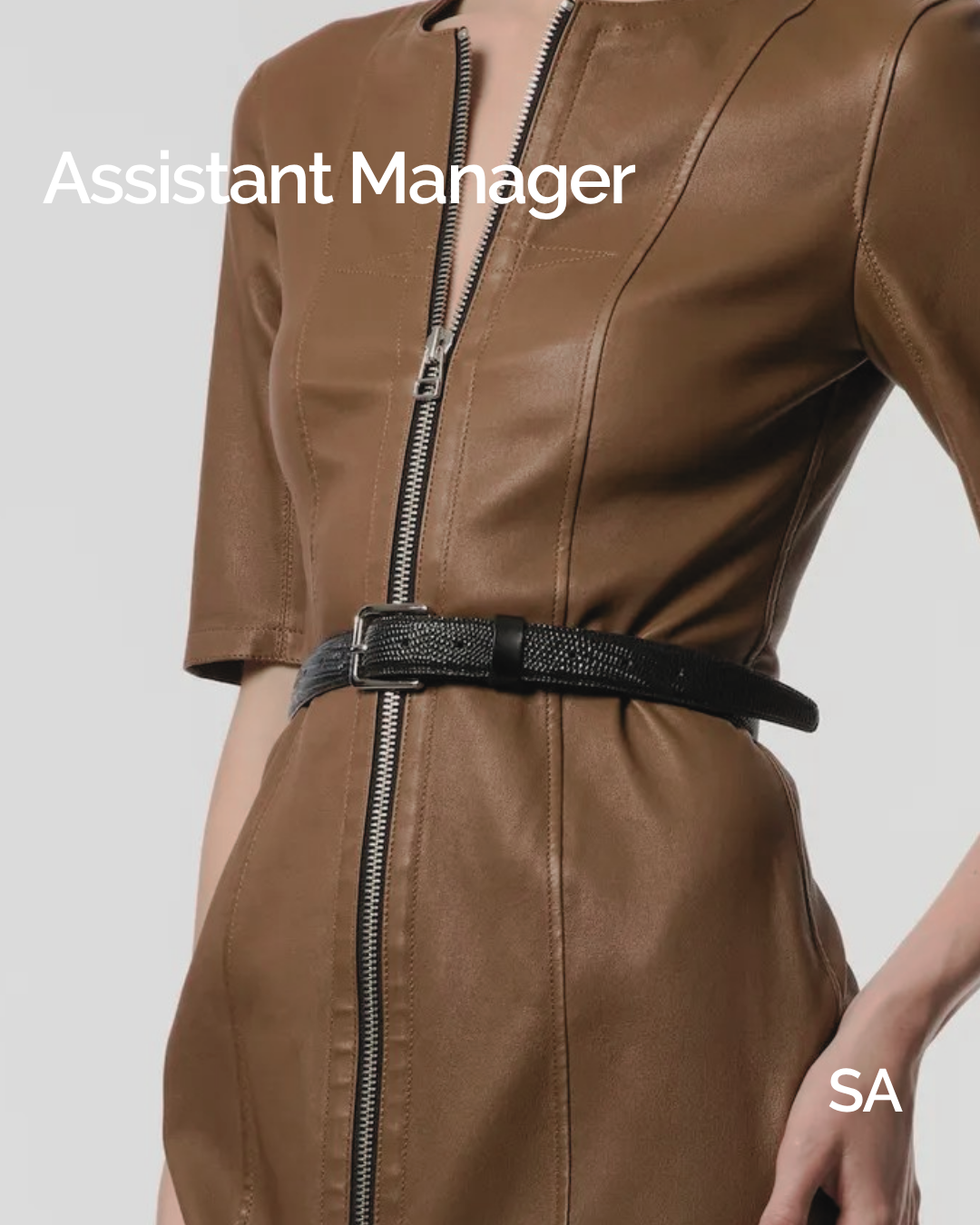 Assistant Manager 