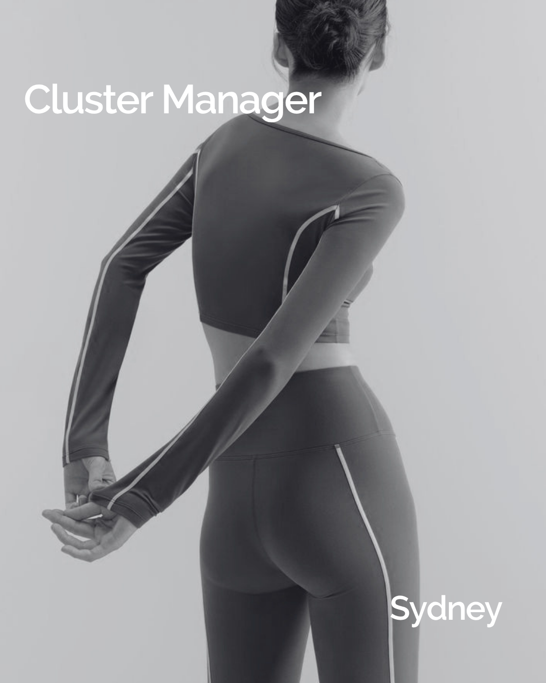Cluster Manager 