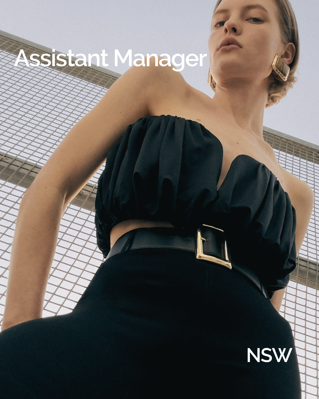 Assistant Manager 
