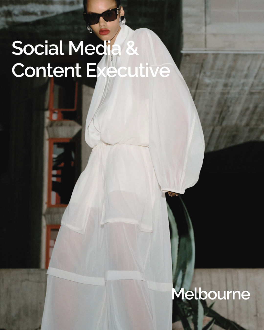Social Media &amp; Content Executive