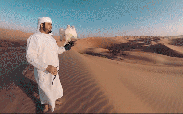 Soaring Over Abu Dhabi 01.gif