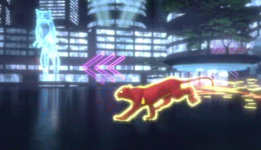 puma9.gif
