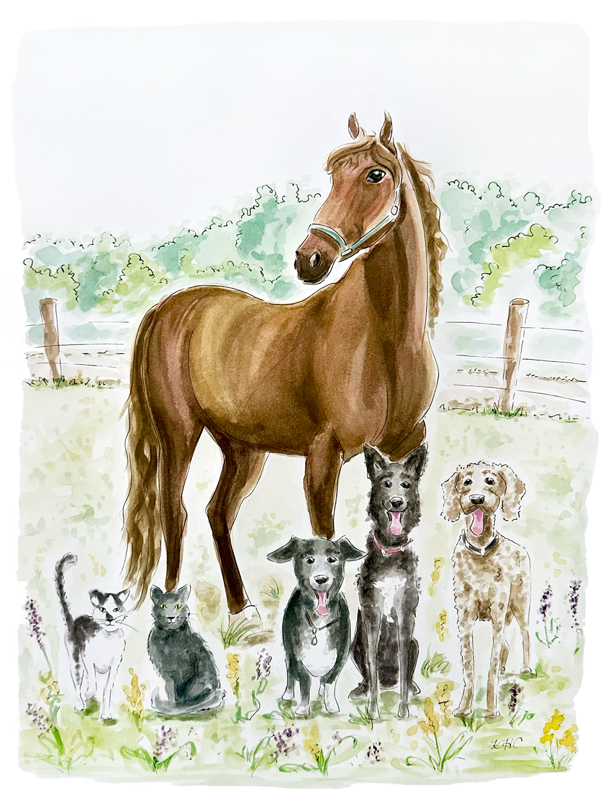 '3 Dogs, 2 Cats, & a Horse,' 2025, Gouache & Ink on Paper, 11x14in