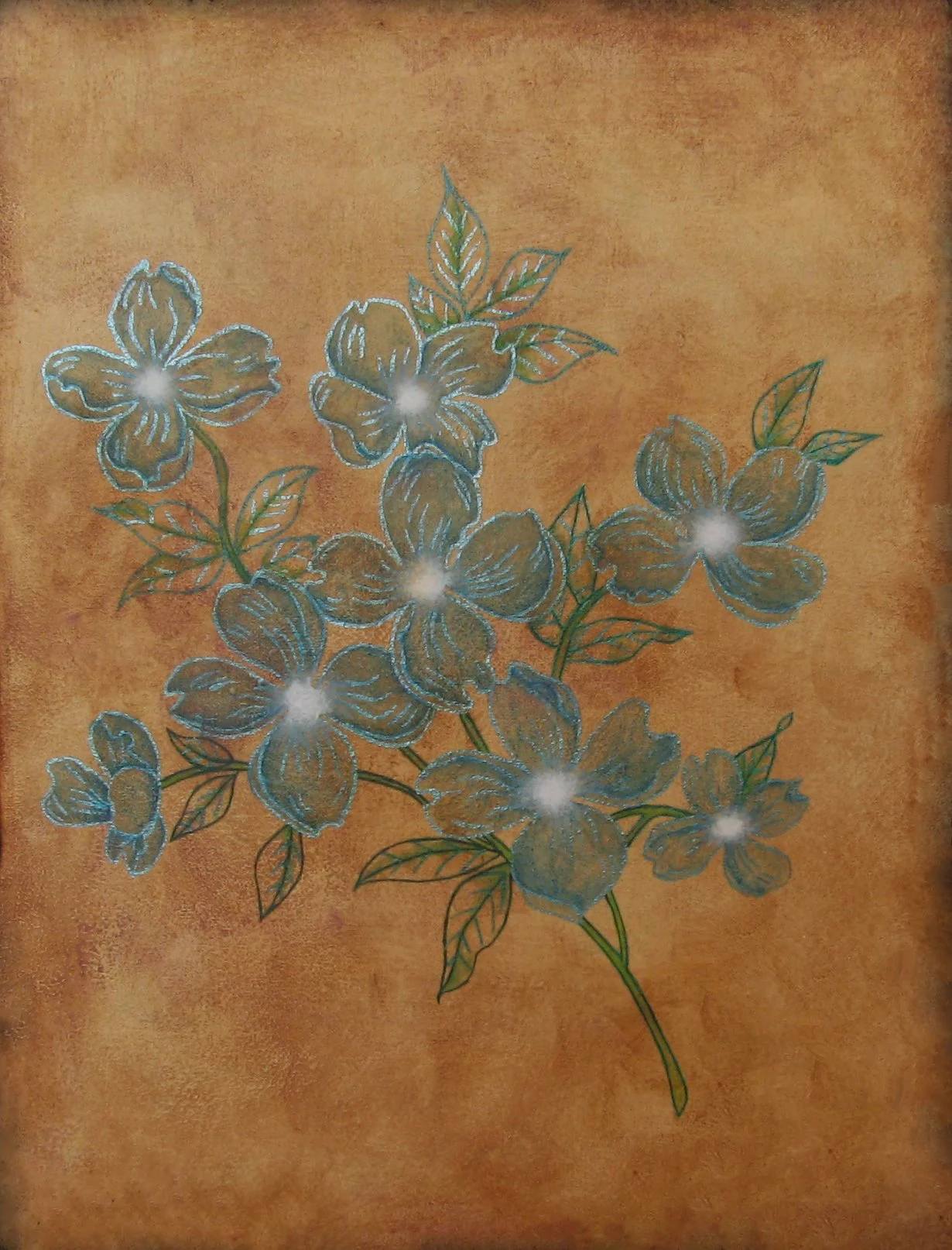 Blue flowers (1).JPG