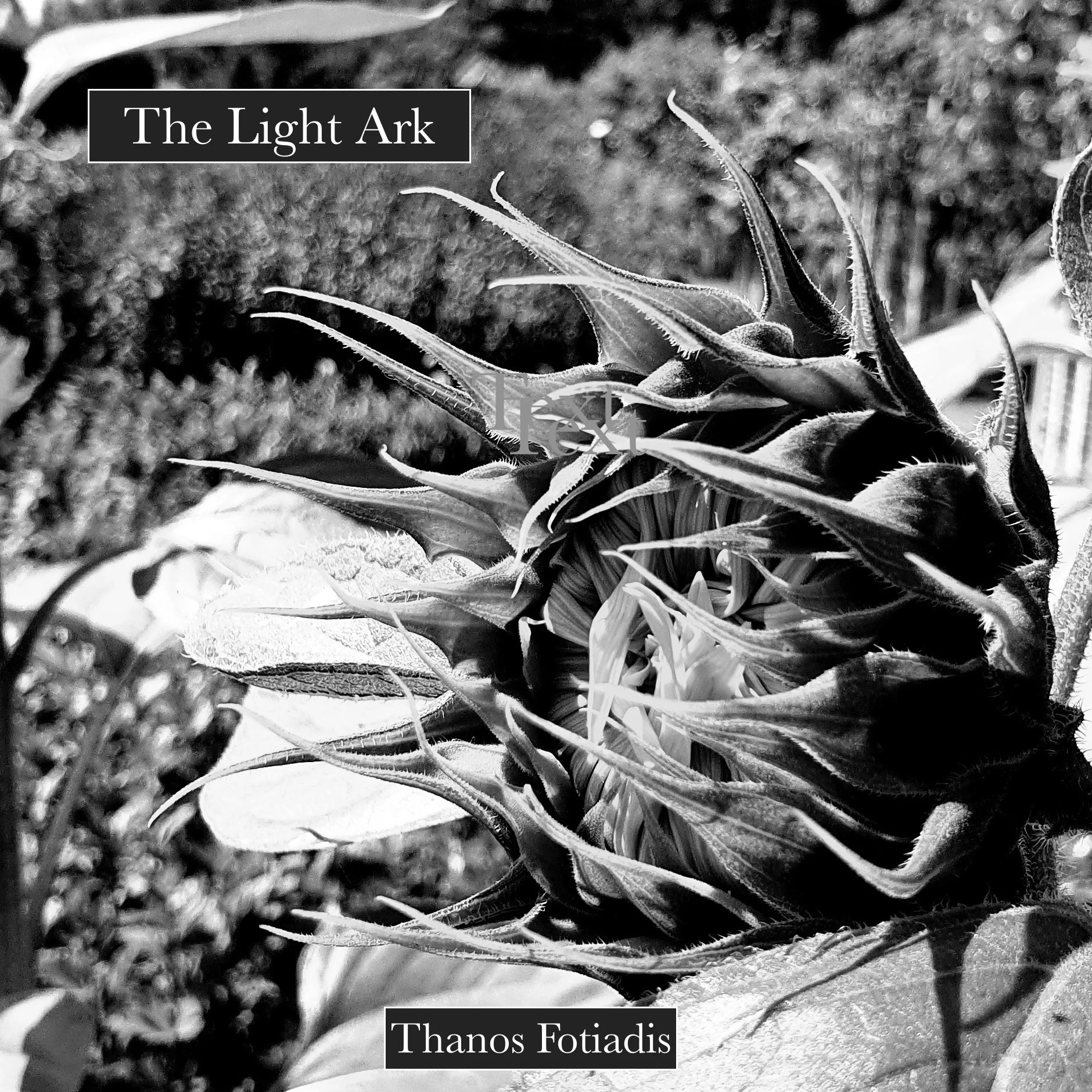 Latest album, made with the Make Noise 'Dark Easel' modular system. 