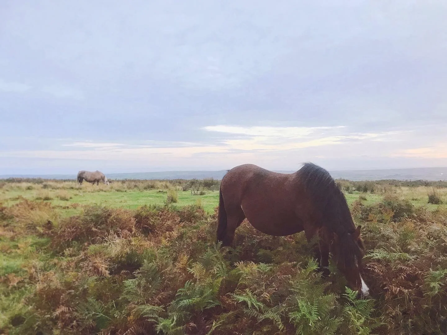 #GetLost #NatGeoAdventure #wales #rhosilibeach #walesphotographer #waleslandscape #walesnature #landscapephotographer #burton #landscapephotographer #naturephotographer #Nature_Worldwide_Miracles 	#DiscoverEarth @Capturelandscapes @Jaw_dropping_Shots