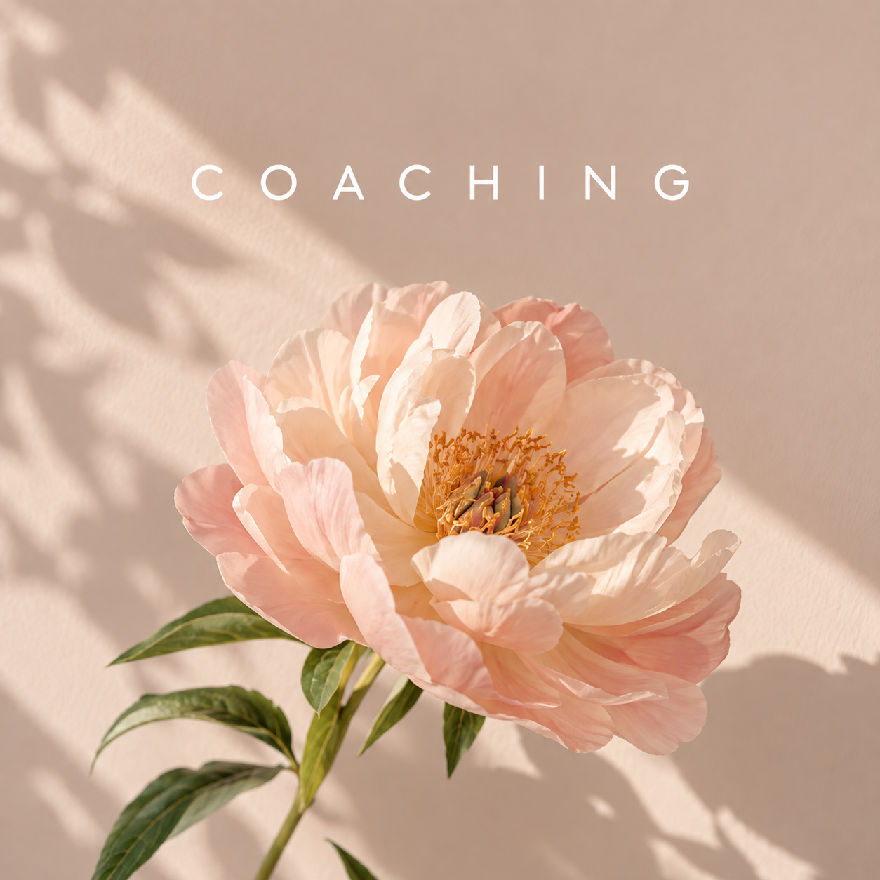 Coaching