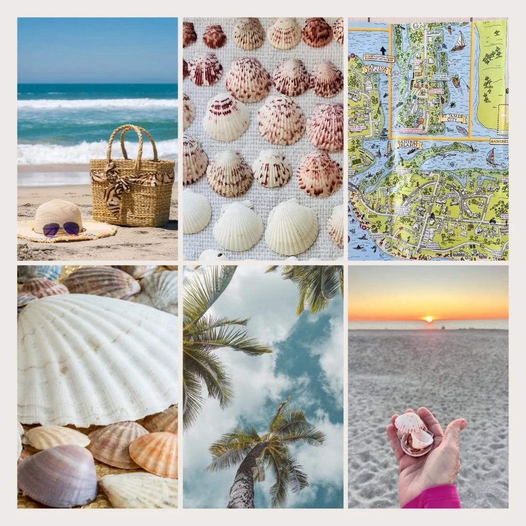 🏝️ Your Lifestyle
Shapes Your Reality

One Day or Day One
&ldquo;YOU DECIDE&rdquo;

🌊🏝️🐚🦪☀️🚶&zwj;♀️ 

#coastalliving #coastaldecor #seashelljewelry #captivaisland #decideyourlife